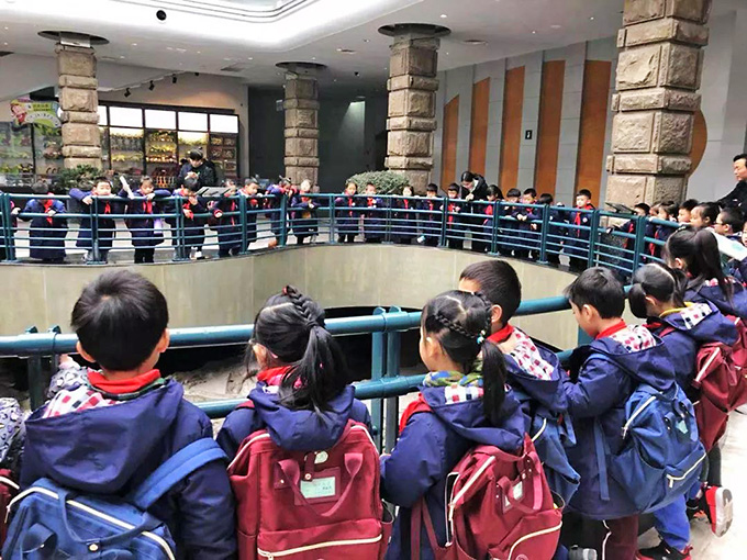 孩子们参观自贡恐龙博物馆